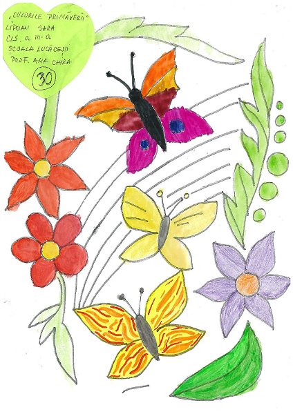 30_Sara LIPOAN_Lucacesti.jpg